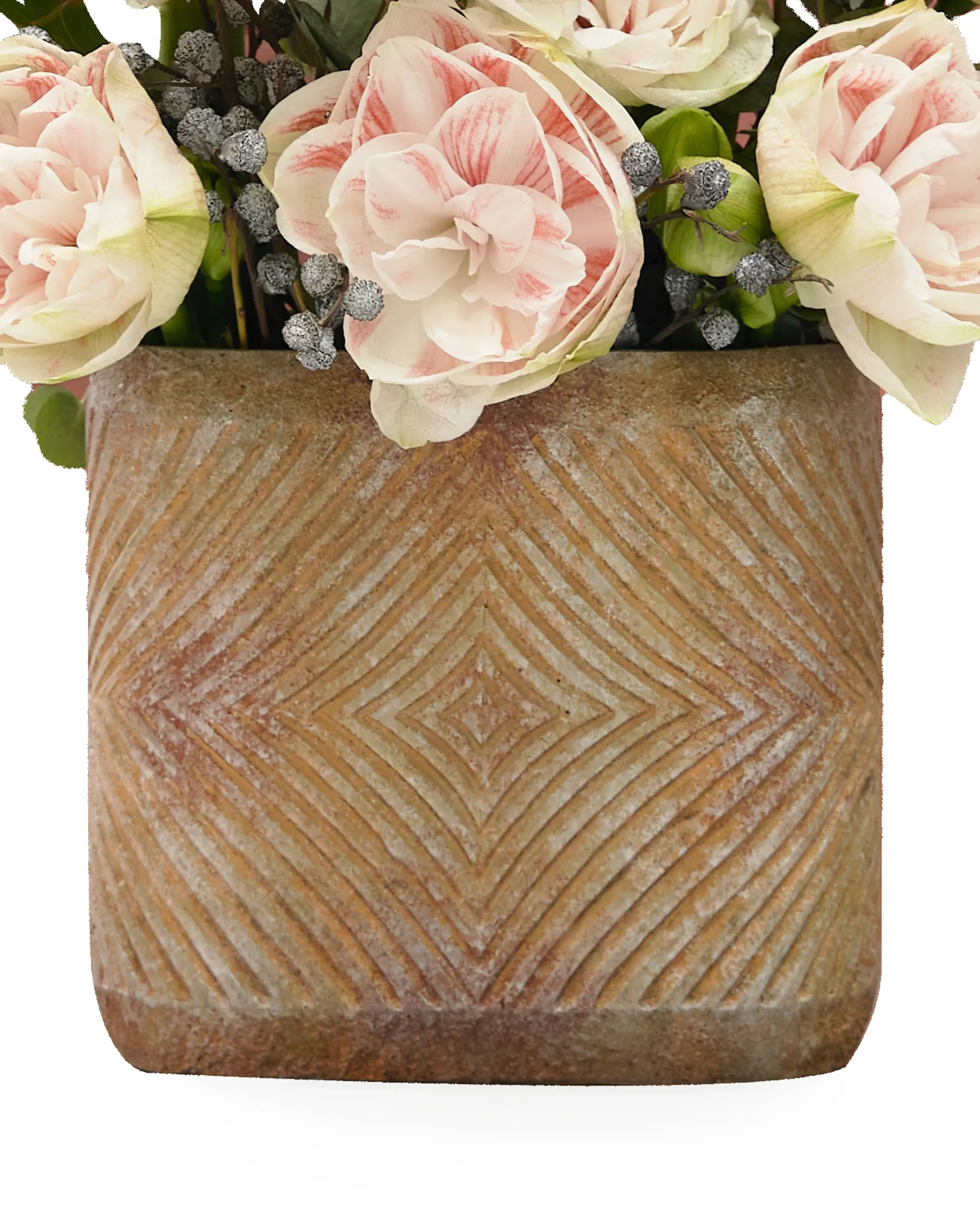 NYMPH AMARYLLIS 1 scaled 1 NYMPH AMARYLLIS 1 scaled 1