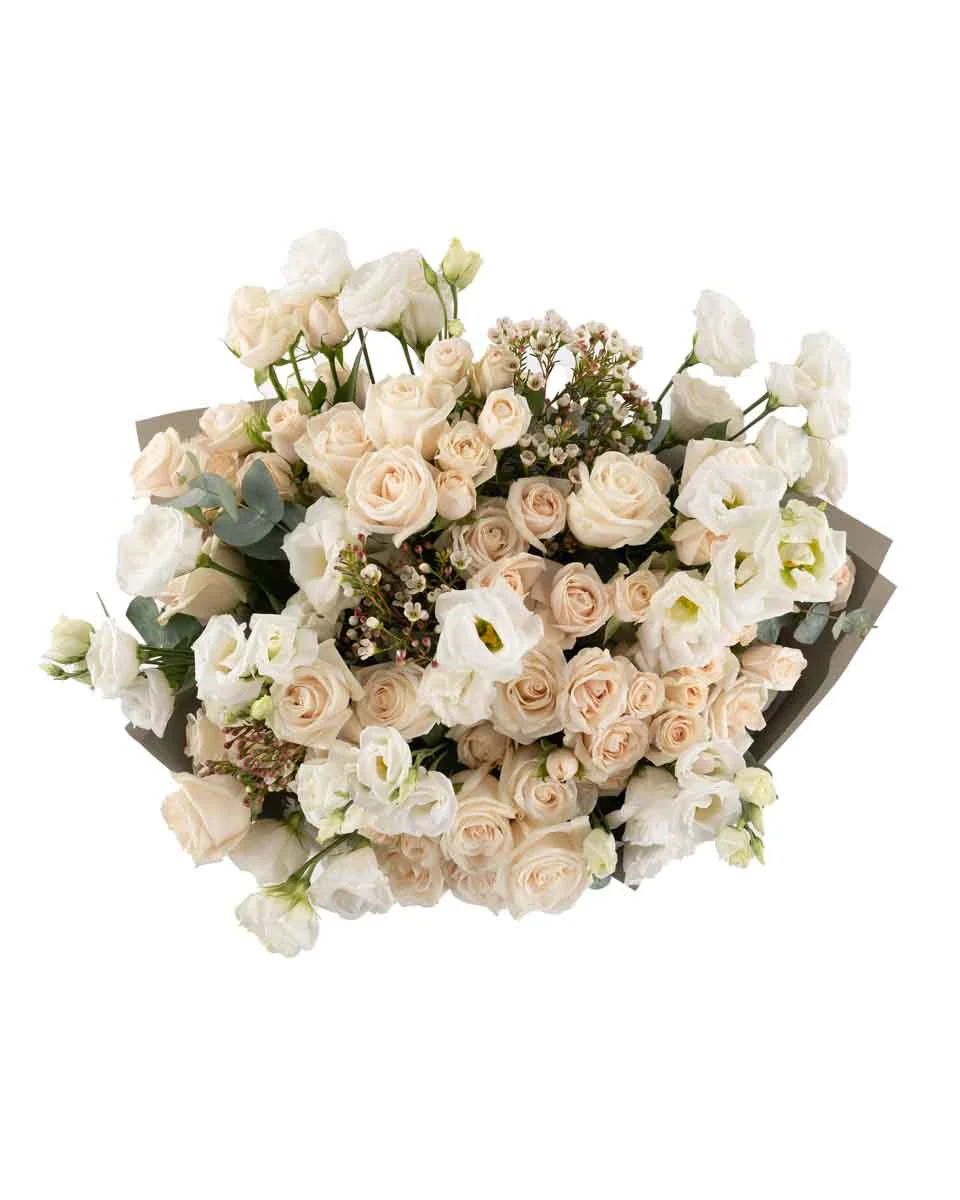 PURITY SUPERB JUNE 10, 2023 top PURITY SUPERB JUNE 10, 2023 top