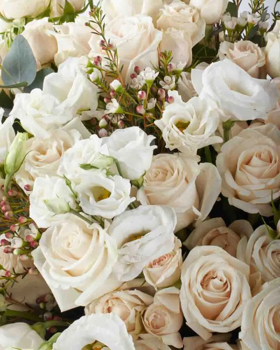 PURITY SUPERB JUNE 10, 2023 2 PURITY SUPERB JUNE 10, 2023 2