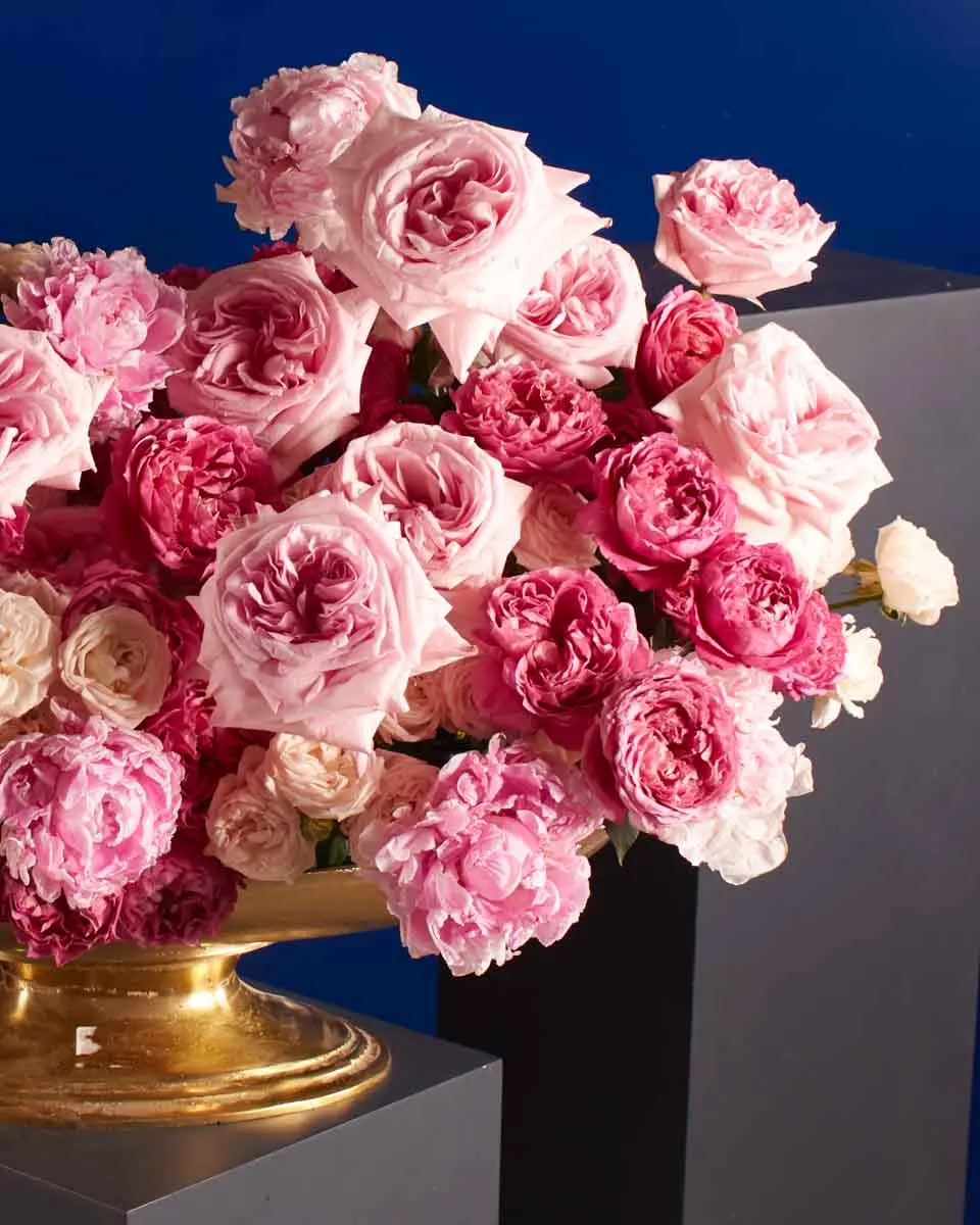 BLOOMING MAJESTY 1