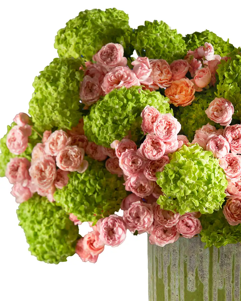 Elegant Bloosom 3 Nov 2025 2 copy