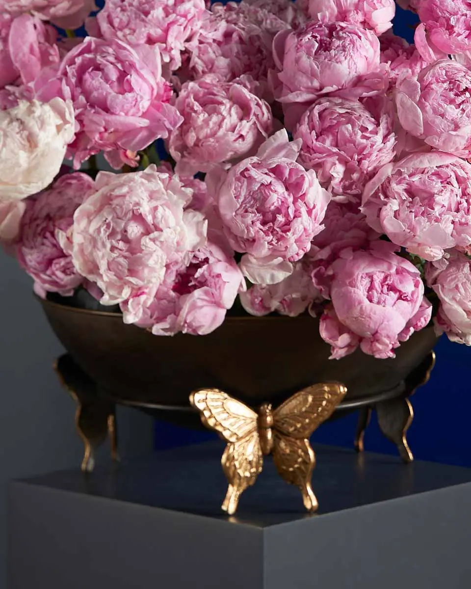 FOR SHAIKHA Details3