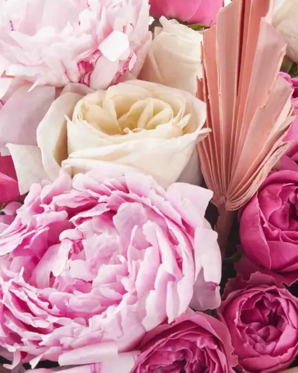 Pink Glamour impressive JUNE 17 2023 1
