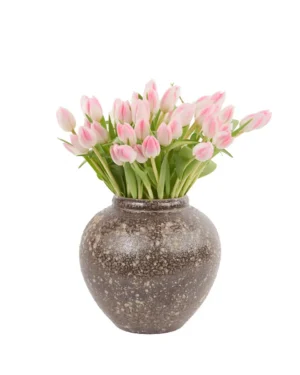 Charming Pink Tulips 30 Dec 2024