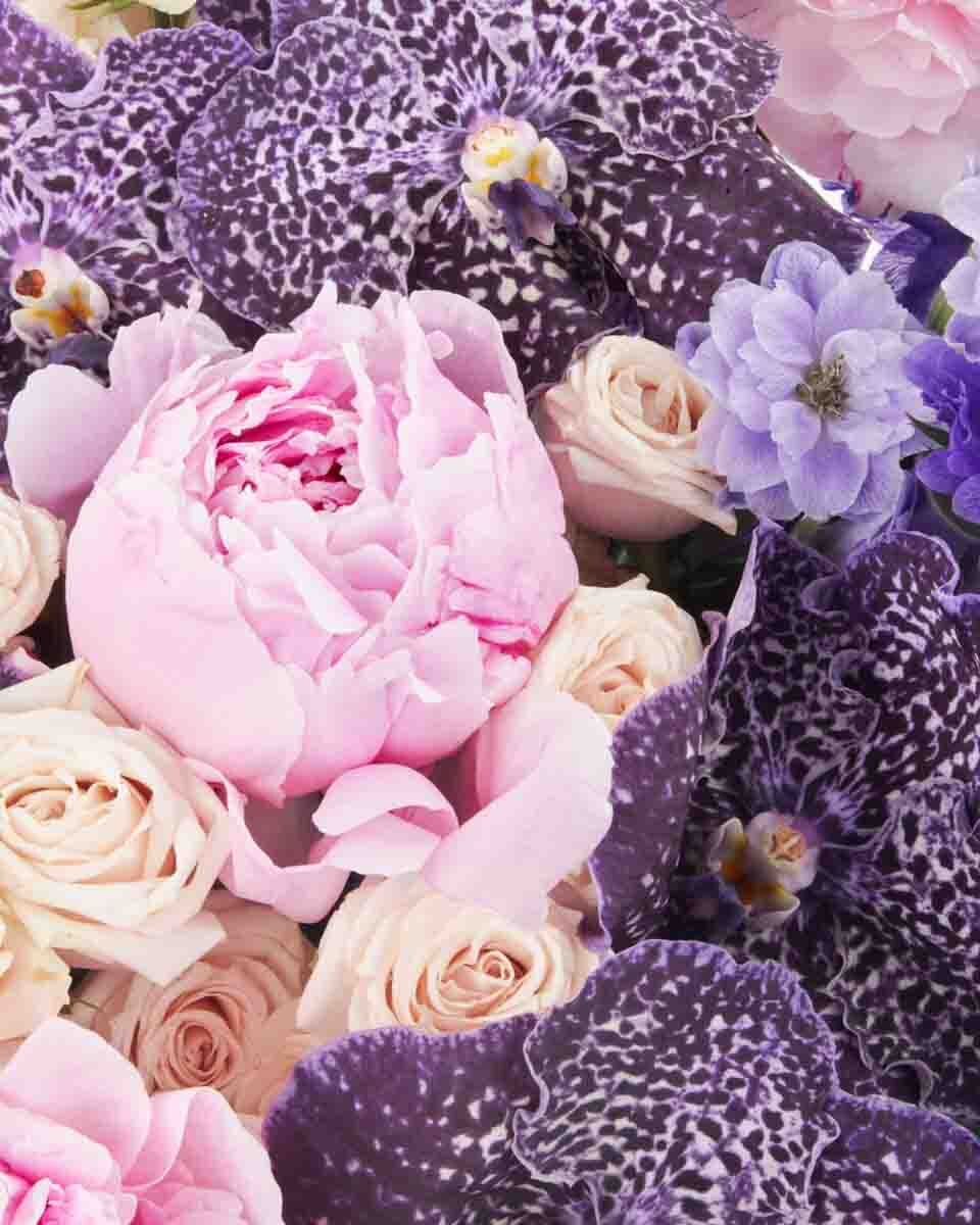 Dreamy Hues JUNE 19 2023 2 Dreamy Hues JUNE 19 2023 2