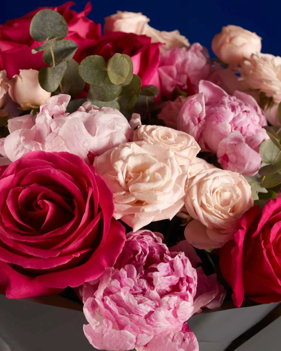 FLOWERS FOR ASMA IMPRESSIVE 3 FLOWERS FOR ASMA IMPRESSIVE 3
