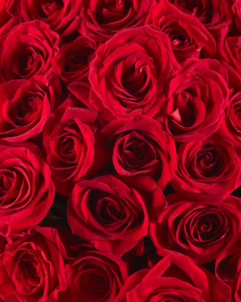 FOR MY LOVE SUPERB 3 FOR MY LOVE SUPERB 3