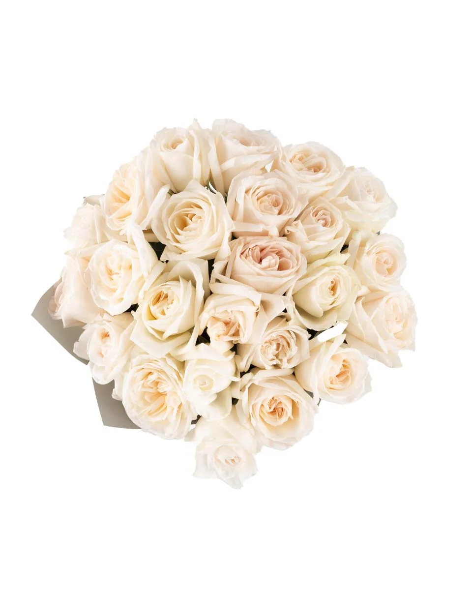 White O hara superb JUNE 12, 2023 top White O hara superb JUNE 12, 2023 top