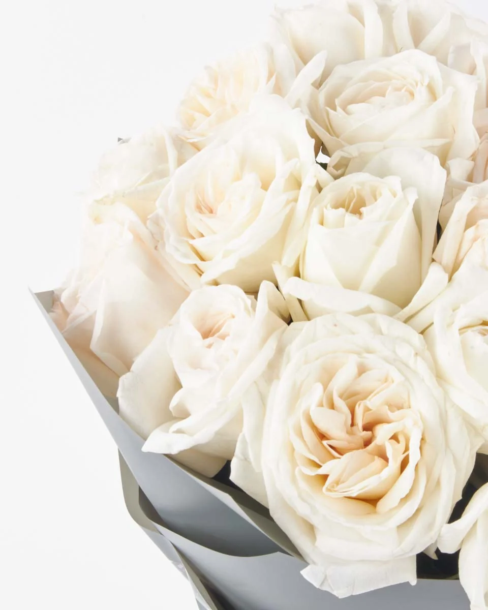 White O hara superb JUNE 12, 2023 White O hara superb JUNE 12, 2023