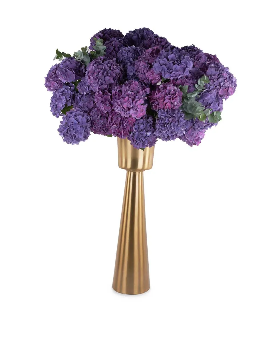 purple tease 1 purple tease 1