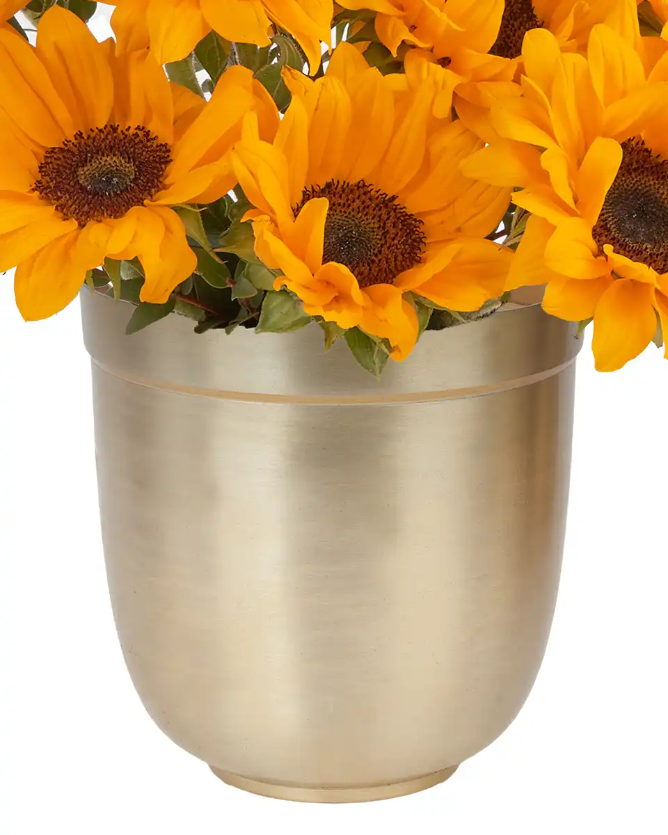 YOU'RE MY SUNSHINE Details2 YOU'RE MY SUNSHINE Details2