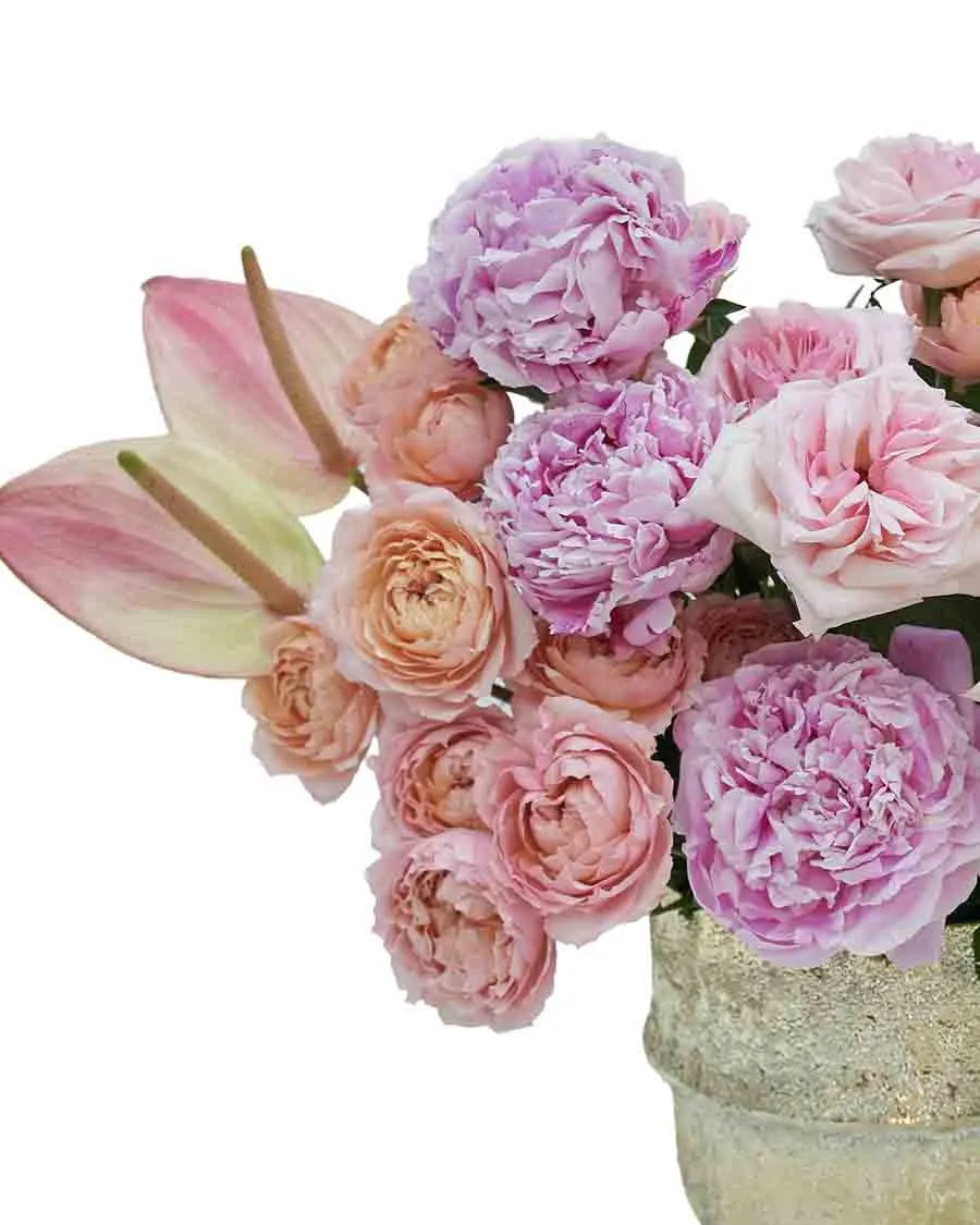 Just Beautiful! Details Just Beautiful! Details
