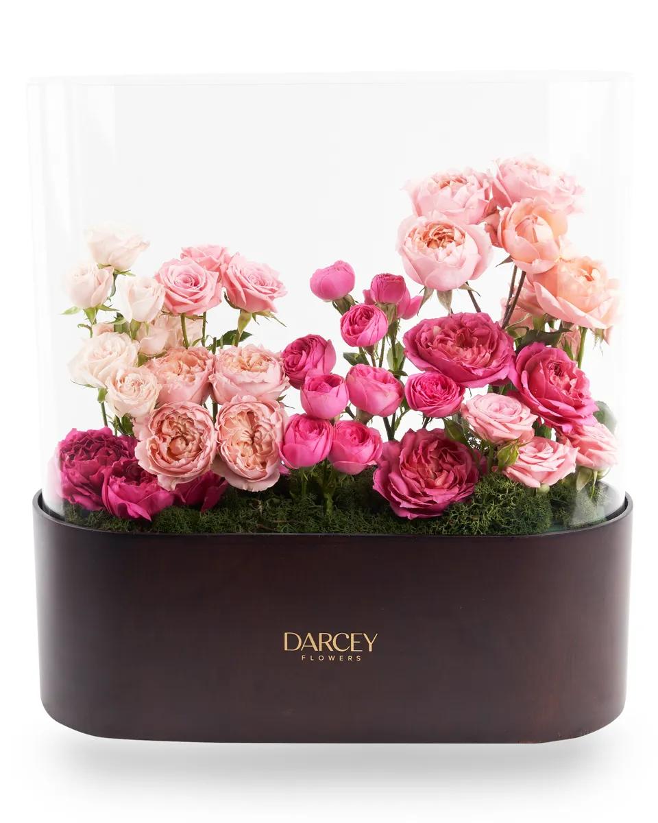 ACRYLIC BOX 7 ACRYLIC BOX 7