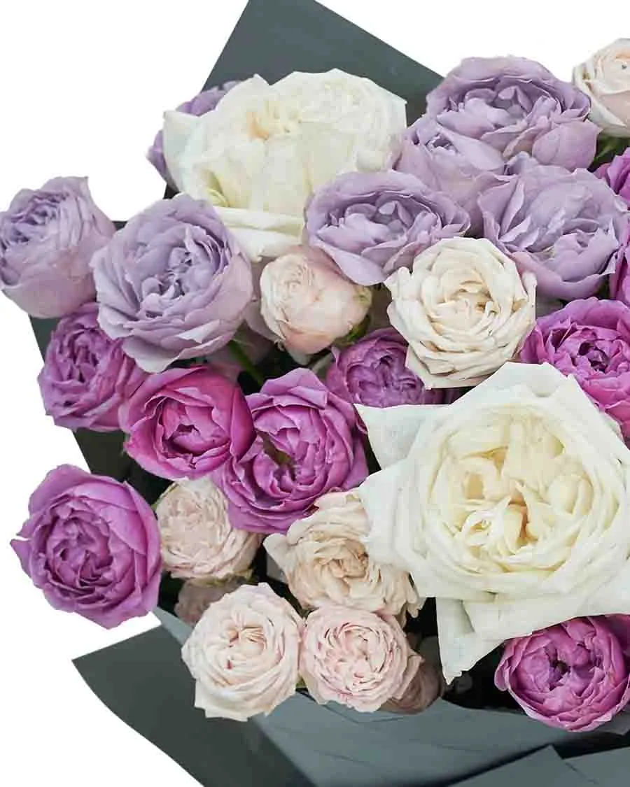 Dear Amna impressive detail 1 Dear Amna impressive detail 1