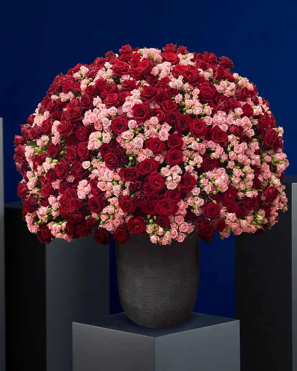 Love in Full Bloom Love in Full Bloom