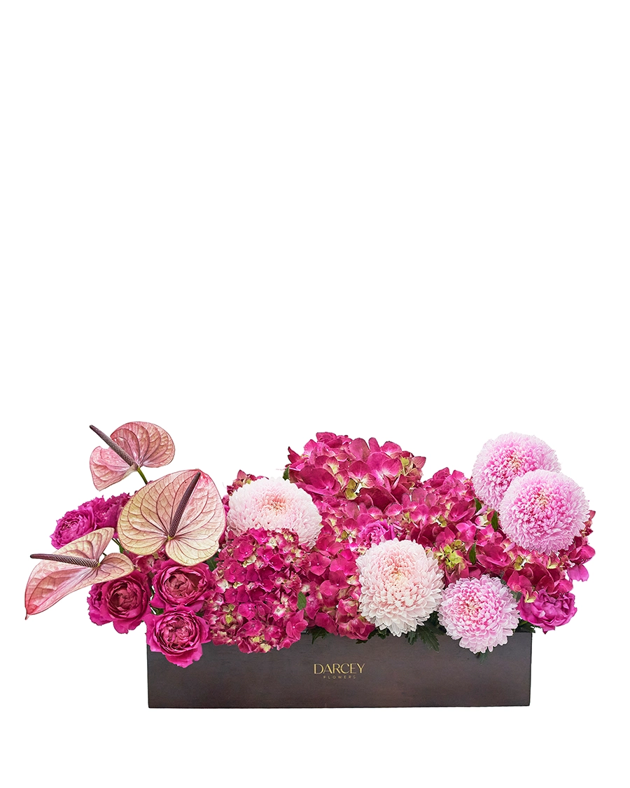 Cerise Celebration Cerise Celebration