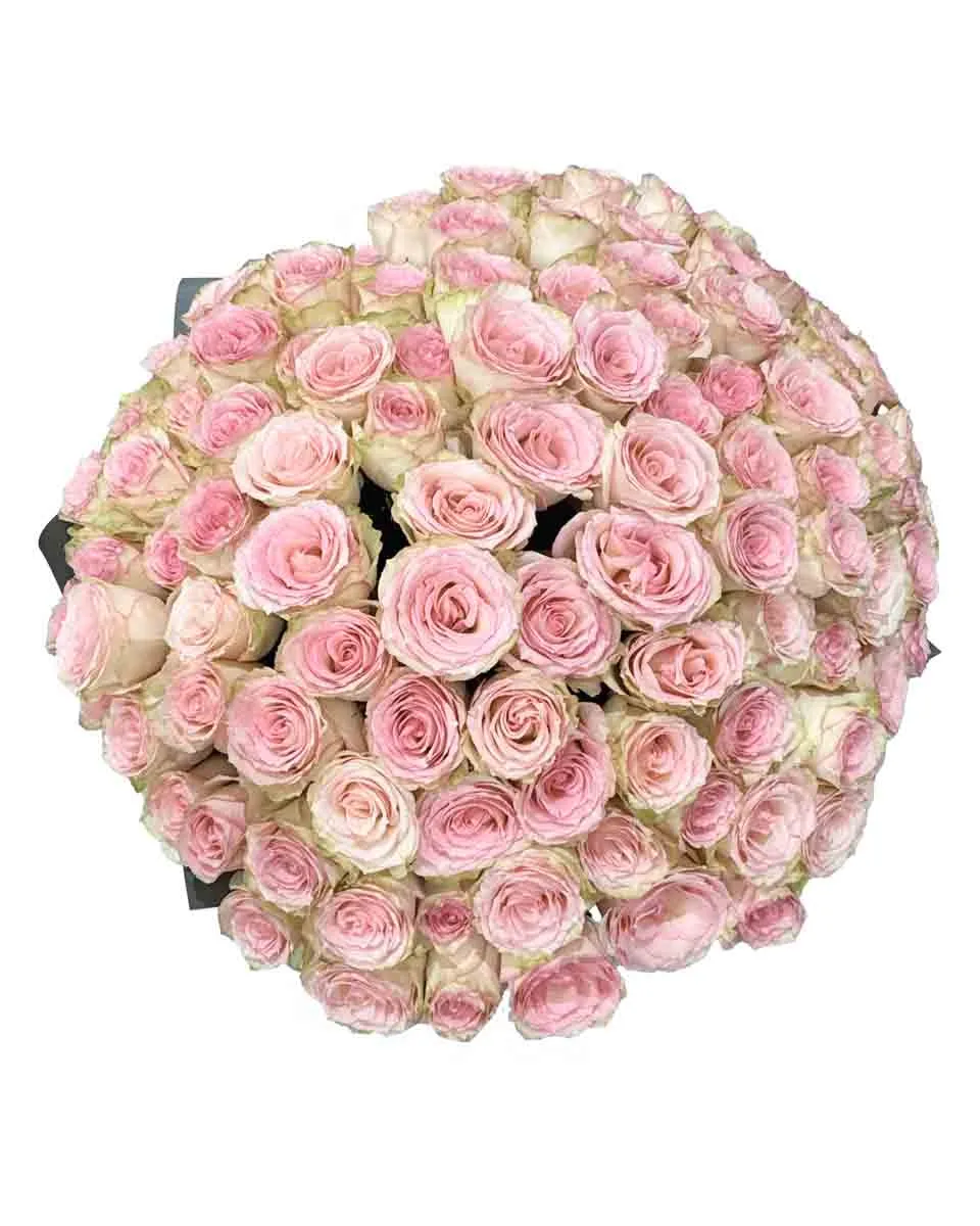 101 Esperance TopView 101 Esperance TopView