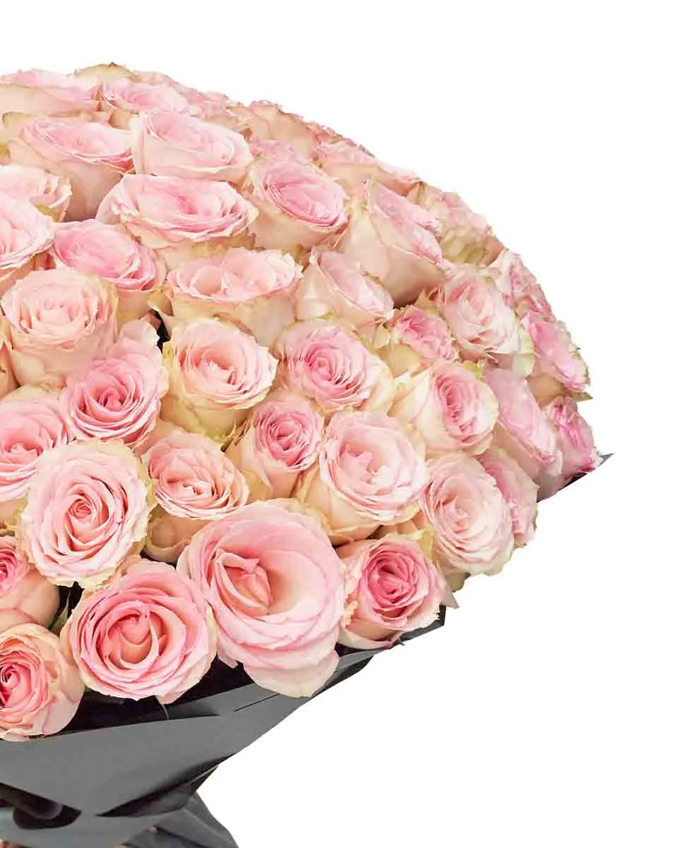 101 Esperance details 101 Esperance details