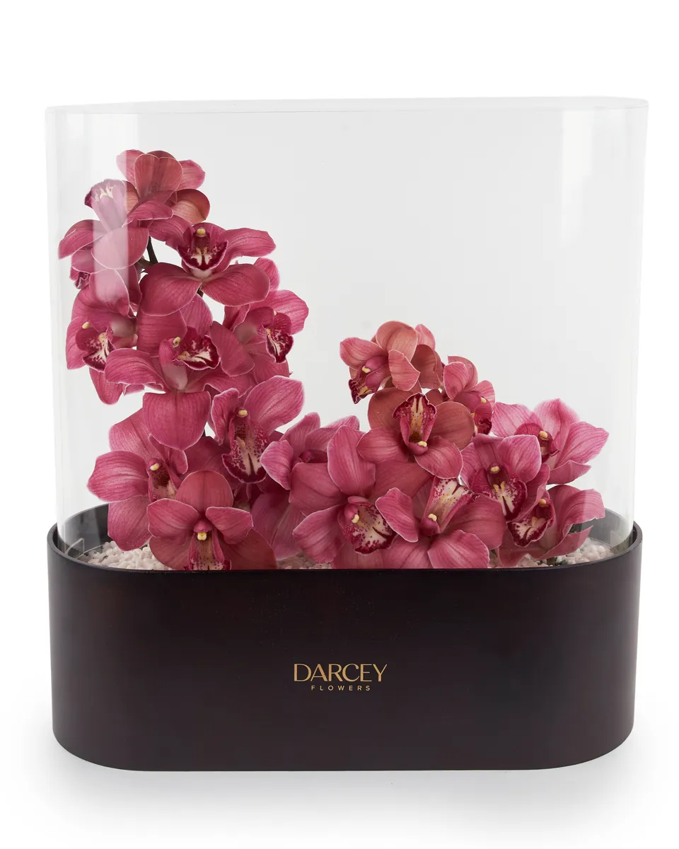 ACRYLIC BOX 2 ACRYLIC BOX 2