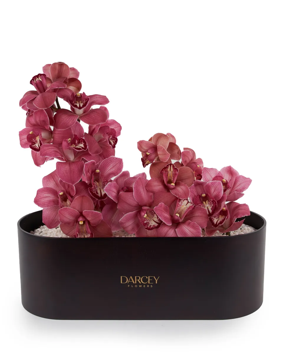 ACRYLIC BOX 2 1 ACRYLIC BOX 2 1