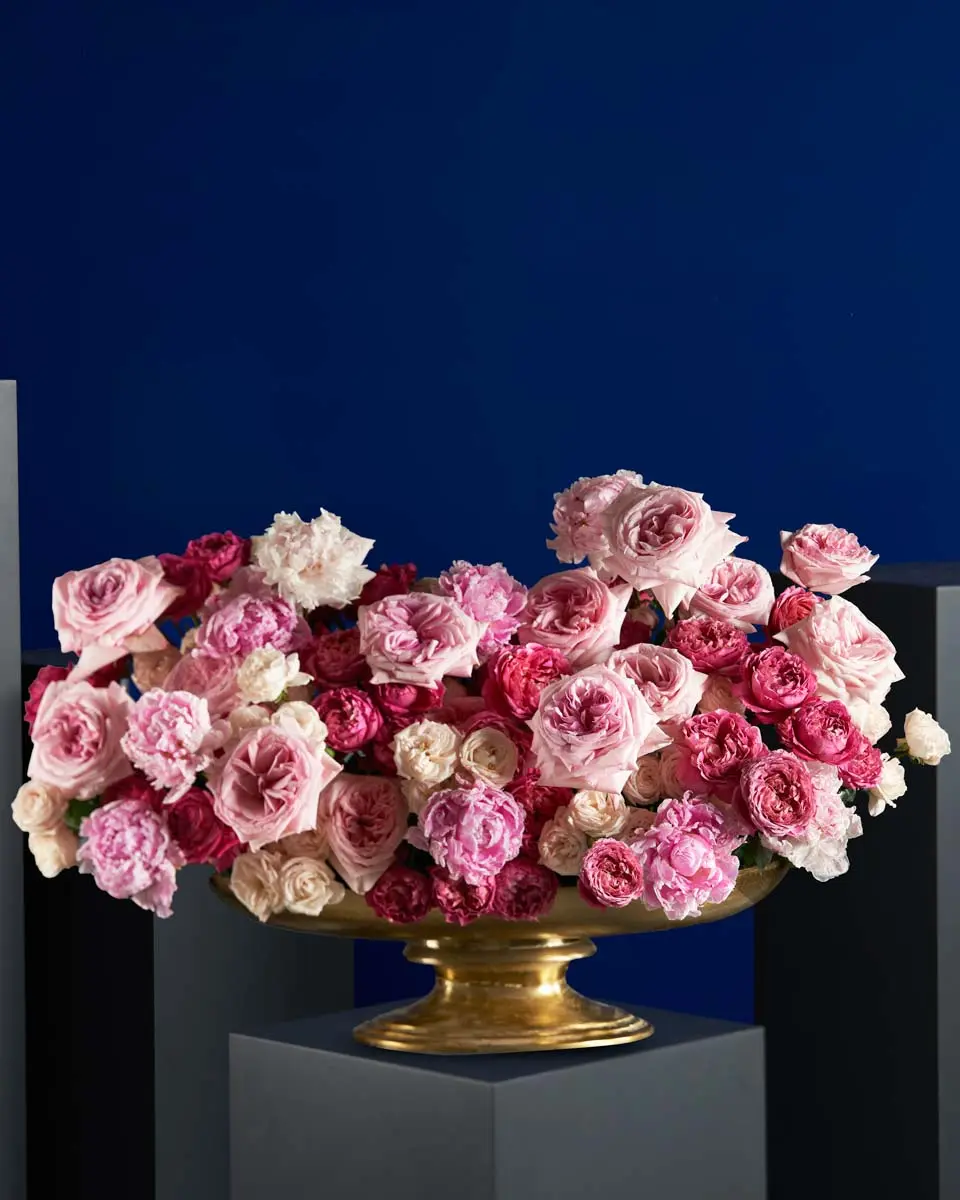BLOOMING MAJESTY BLOOMING MAJESTY
