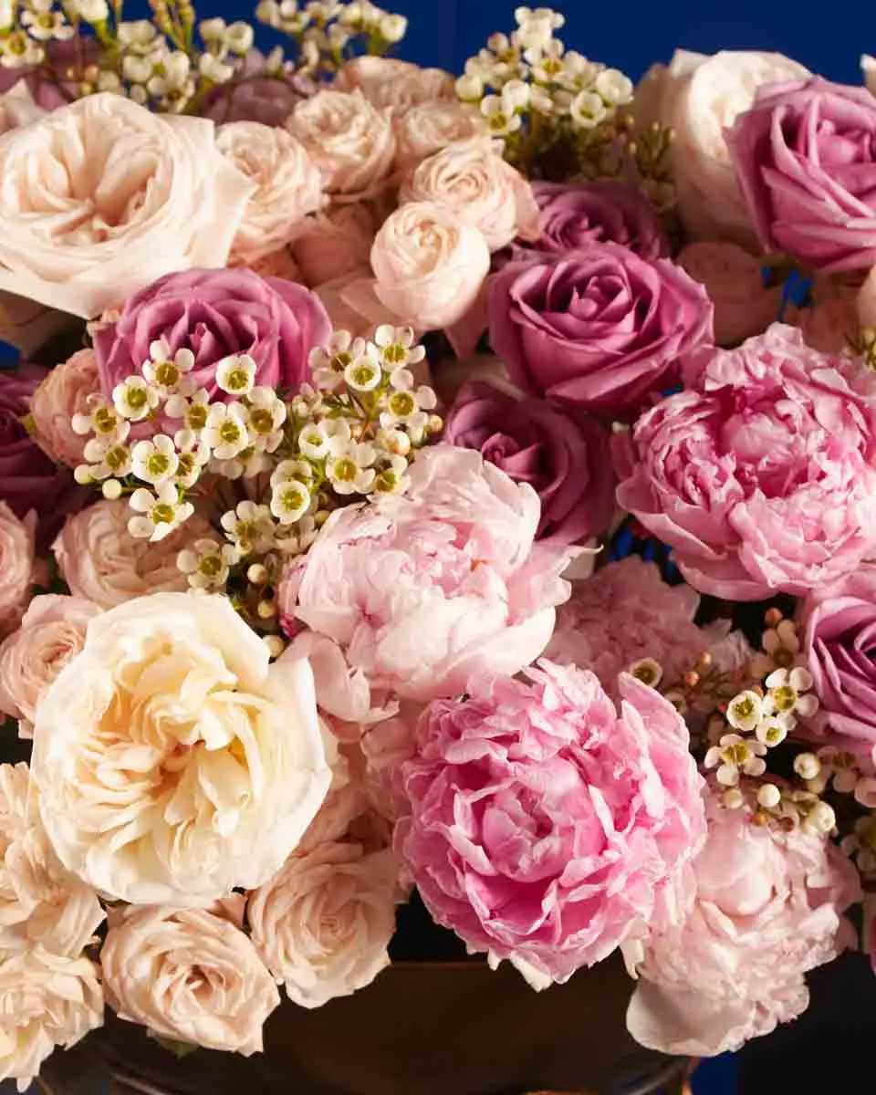 BUTTERFLY KISS 2 1 BUTTERFLY KISS 2 1