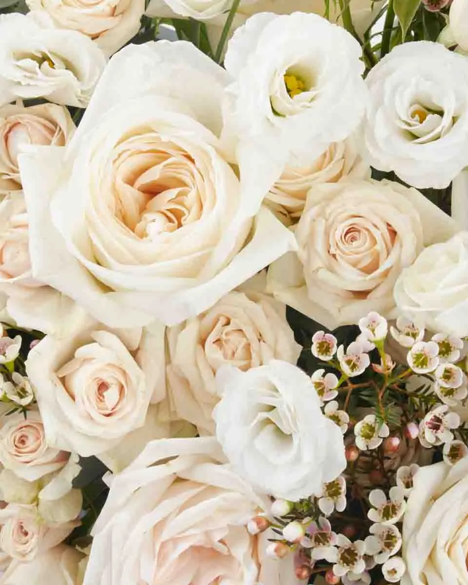 Beautiful in White JUNE 19 2023 1 Beautiful in White JUNE 19 2023 1