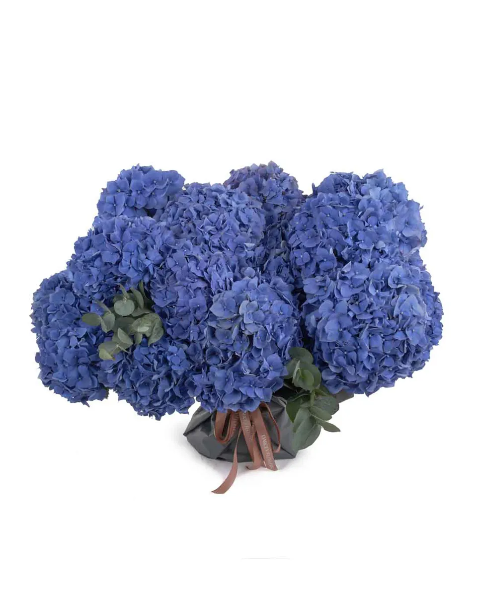 Blue elegance superb Blue elegance superb