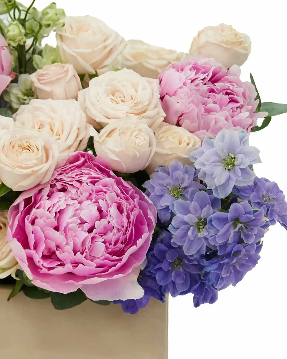 Bubbly Pink 2024 2 Bubbly Pink 2024 2