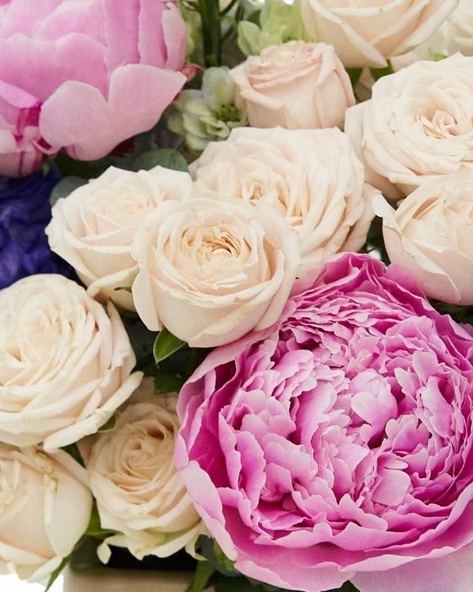 Bubbly Pink 2024 Close Bubbly Pink 2024 Close