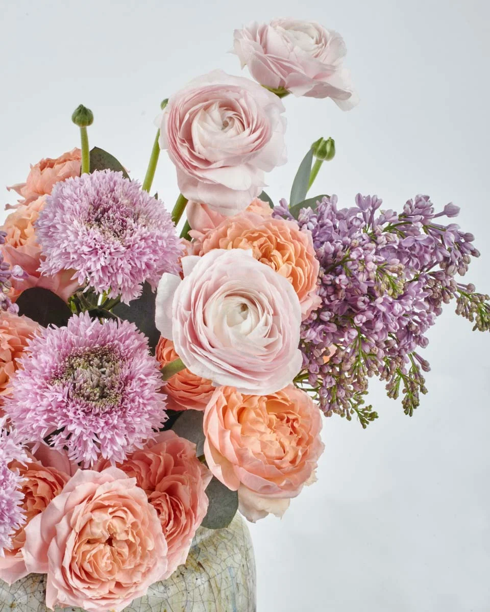 CUTIE PIE 1 CUTIE PIE 1