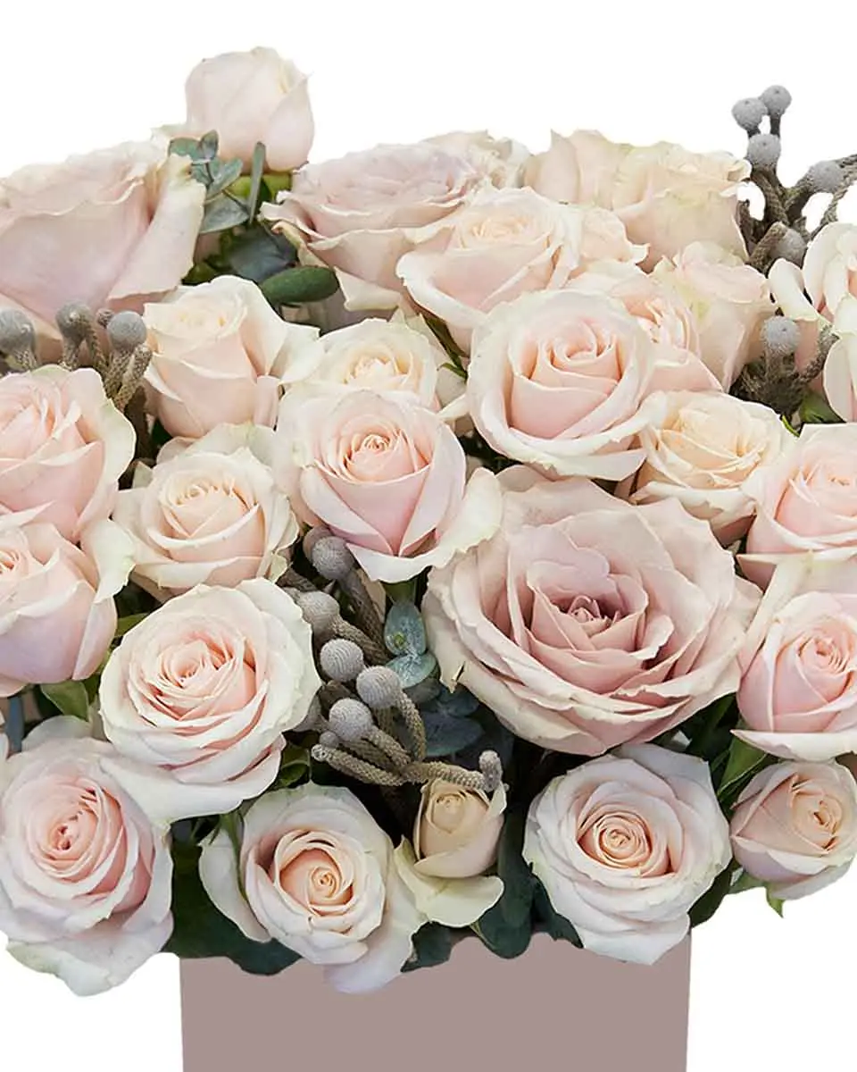 Hey Marianne 2 Reshoot Hey Marianne 2 Reshoot