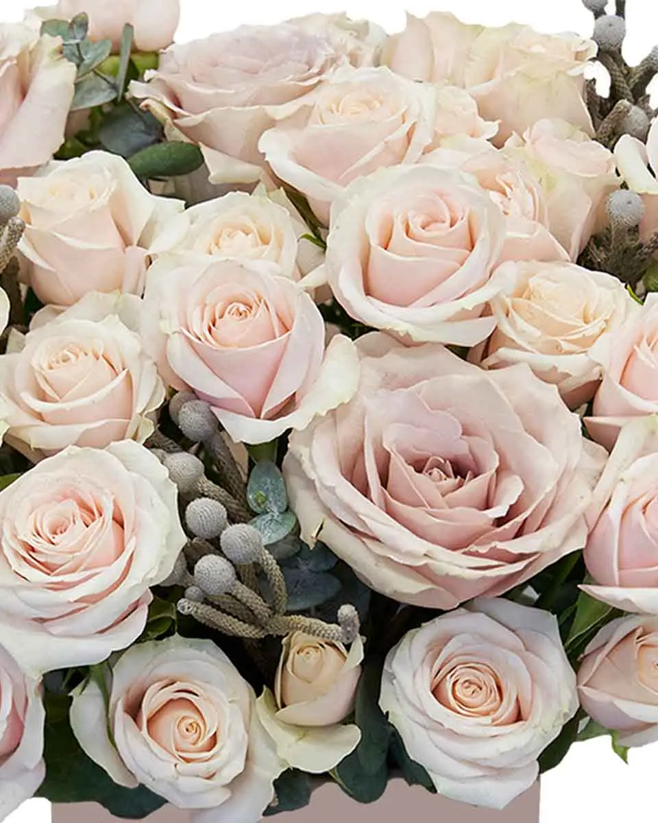 Hey Marianne 4 Reshoot Hey Marianne 4 Reshoot