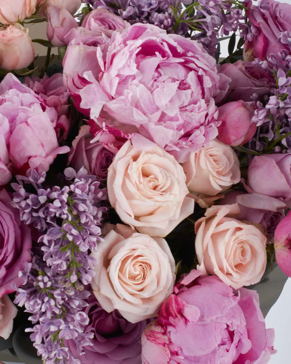 LILAC ROMANCE IMPRESSIVE 3 LILAC ROMANCE IMPRESSIVE 3