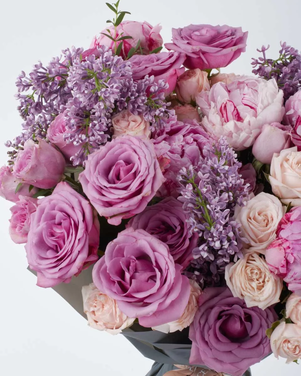 LILAC ROMANCE SUPERB 2 LILAC ROMANCE SUPERB 2