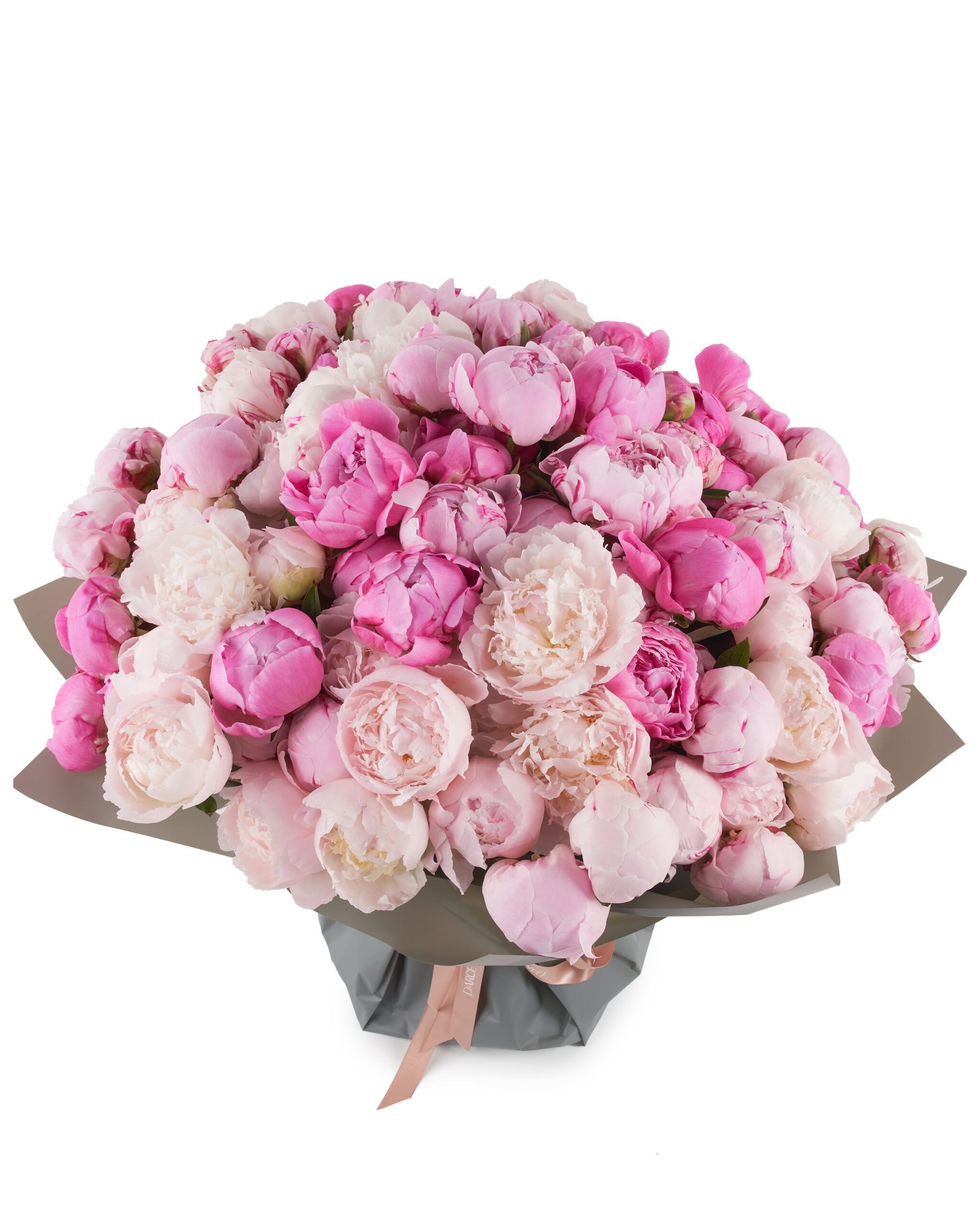 MEGA PEONY ONE SIZE JUNE 13 2023 scaled 1 MEGA PEONY ONE SIZE JUNE 13 2023 scaled 1