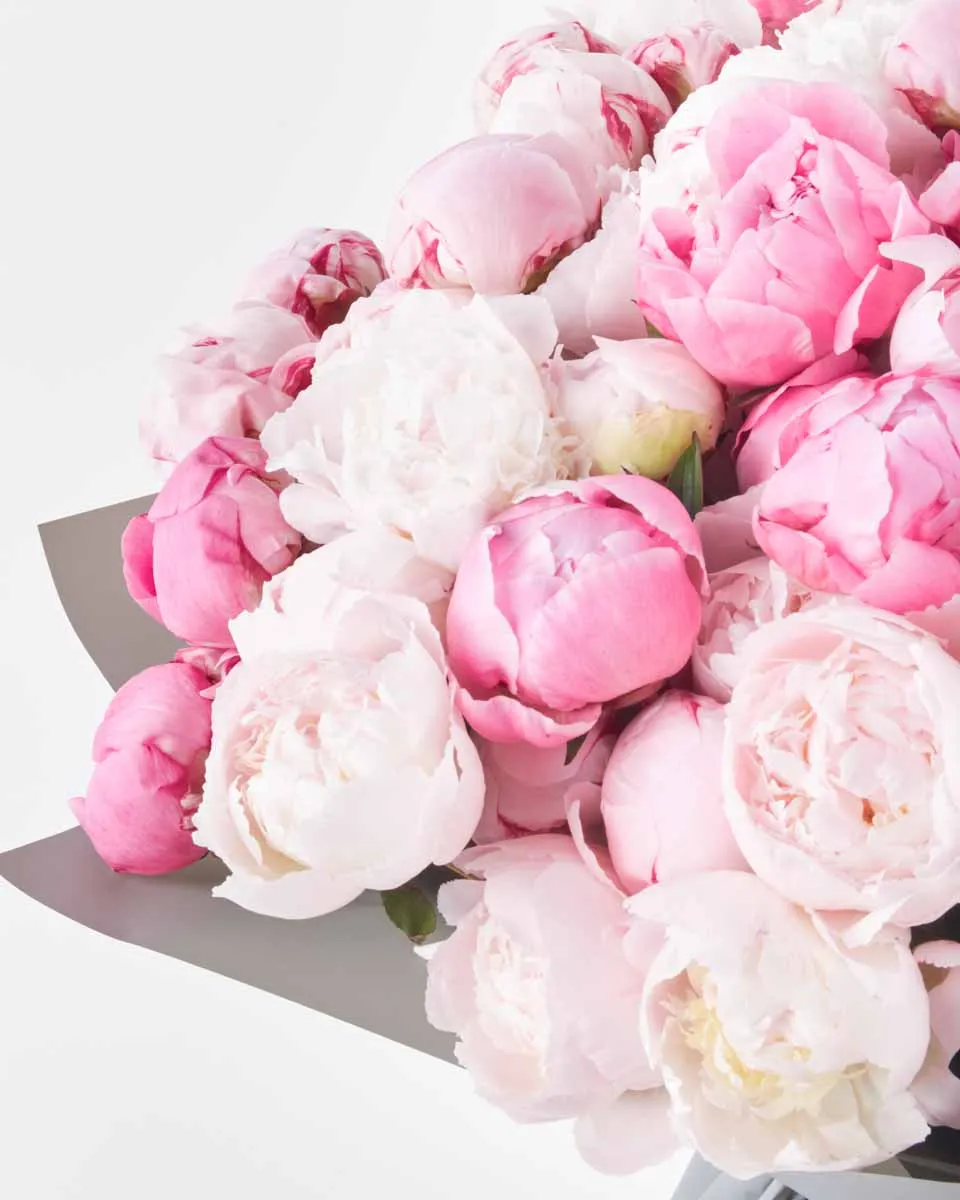 MEGA PEONY ONE SIZE JUNE 13 2023 MEGA PEONY ONE SIZE JUNE 13 2023