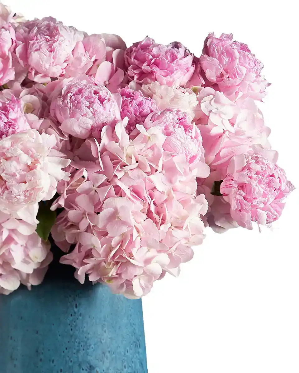 Sweet Perfection Edtied2 Sweet Perfection Edtied2