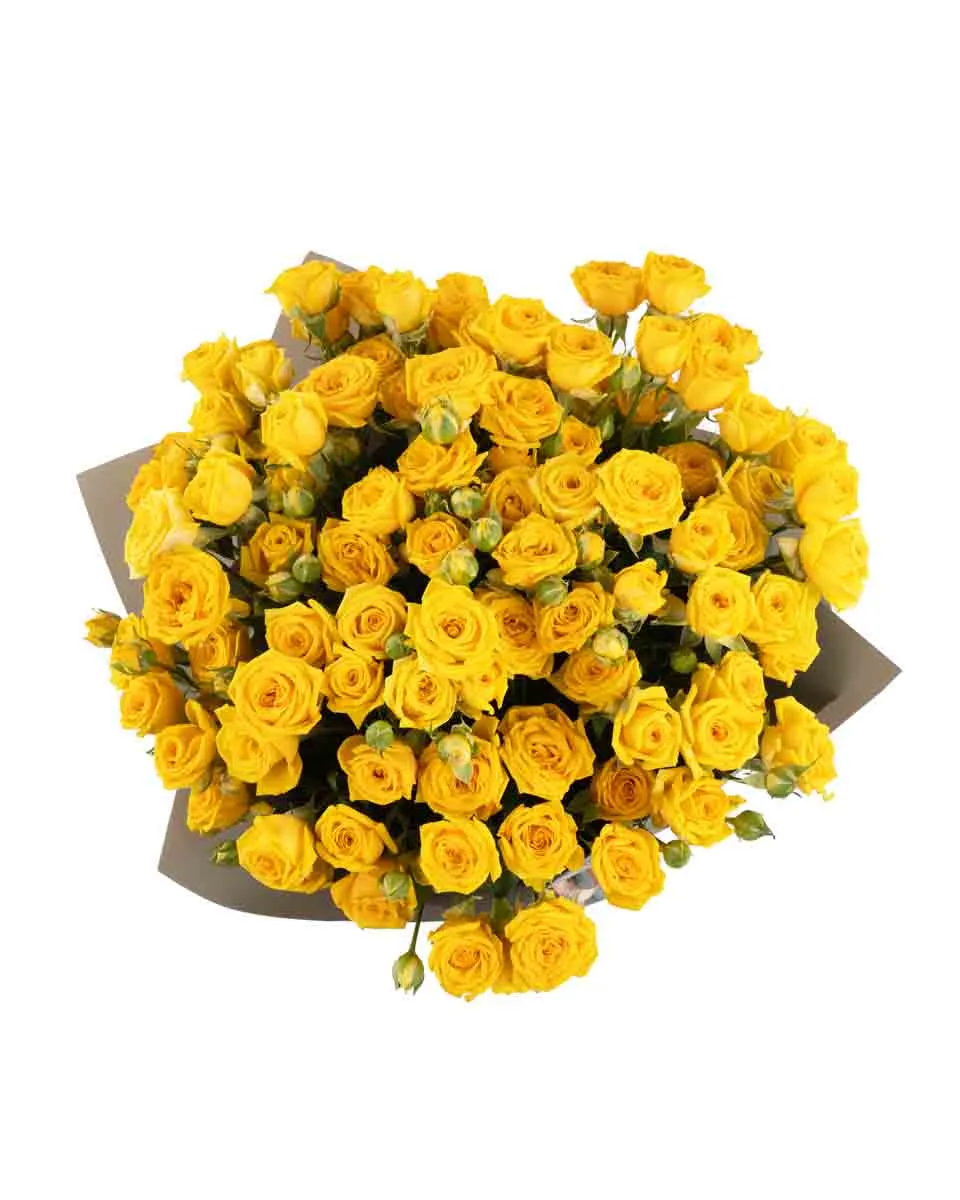 YELLOW BABE IMPRESSIVE JUNE 6 2023 7 top YELLOW BABE IMPRESSIVE JUNE 6 2023 7 top