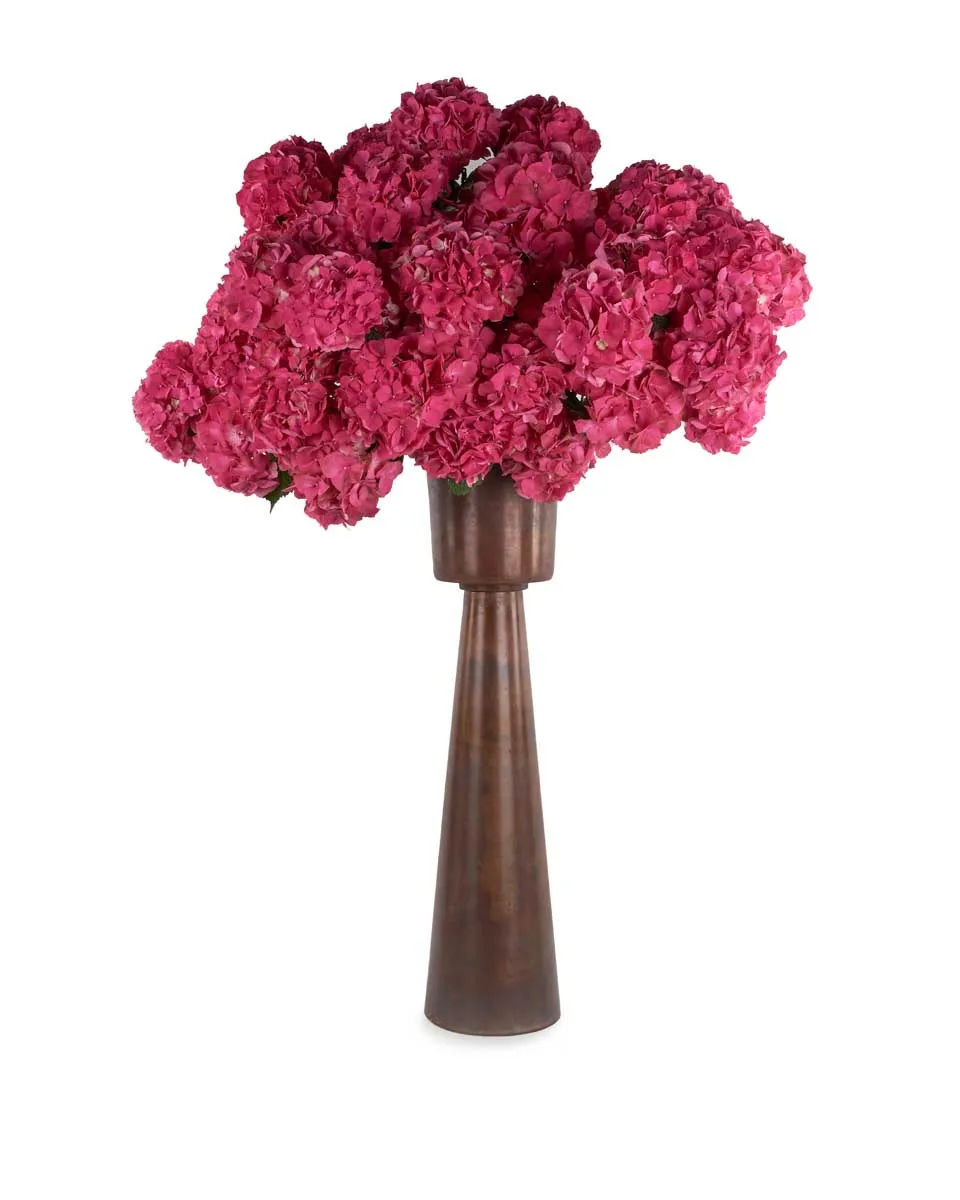 candy love 1 candy love 1