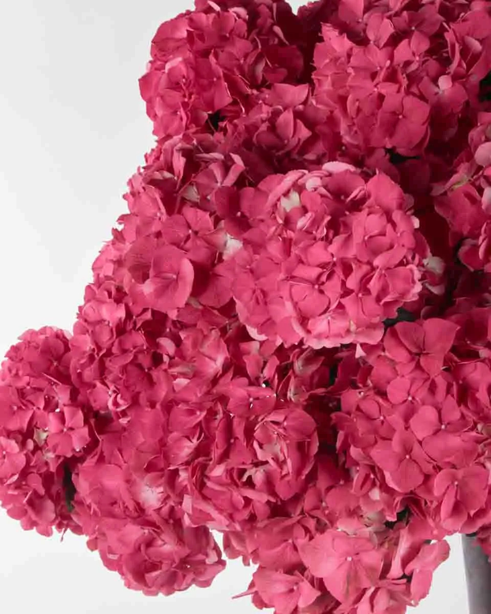 candy love 3 candy love 3