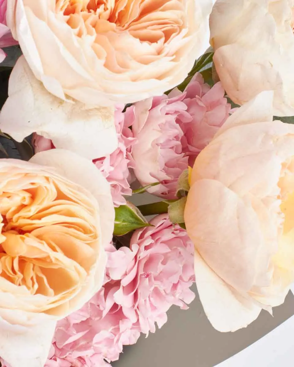 love and affection JUNE 8 2023 3 love and affection JUNE 8 2023 3