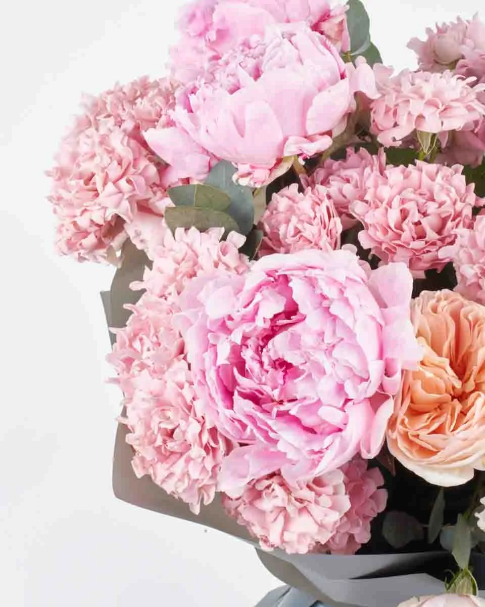 love and affection JUNE 8 2023 love and affection JUNE 8 2023