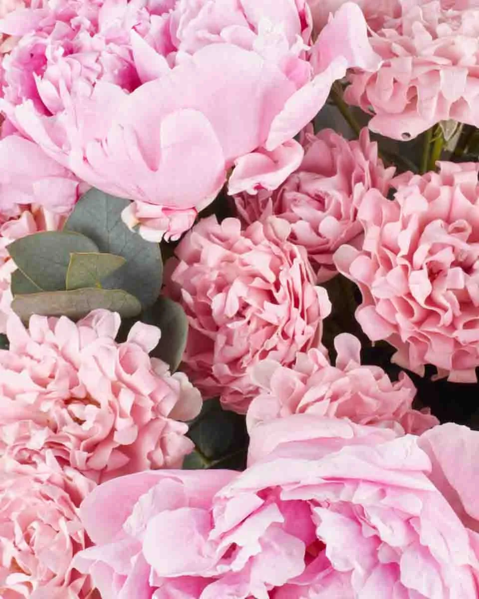 love and affection JUNE 8 2023 2 love and affection JUNE 8 2023 2