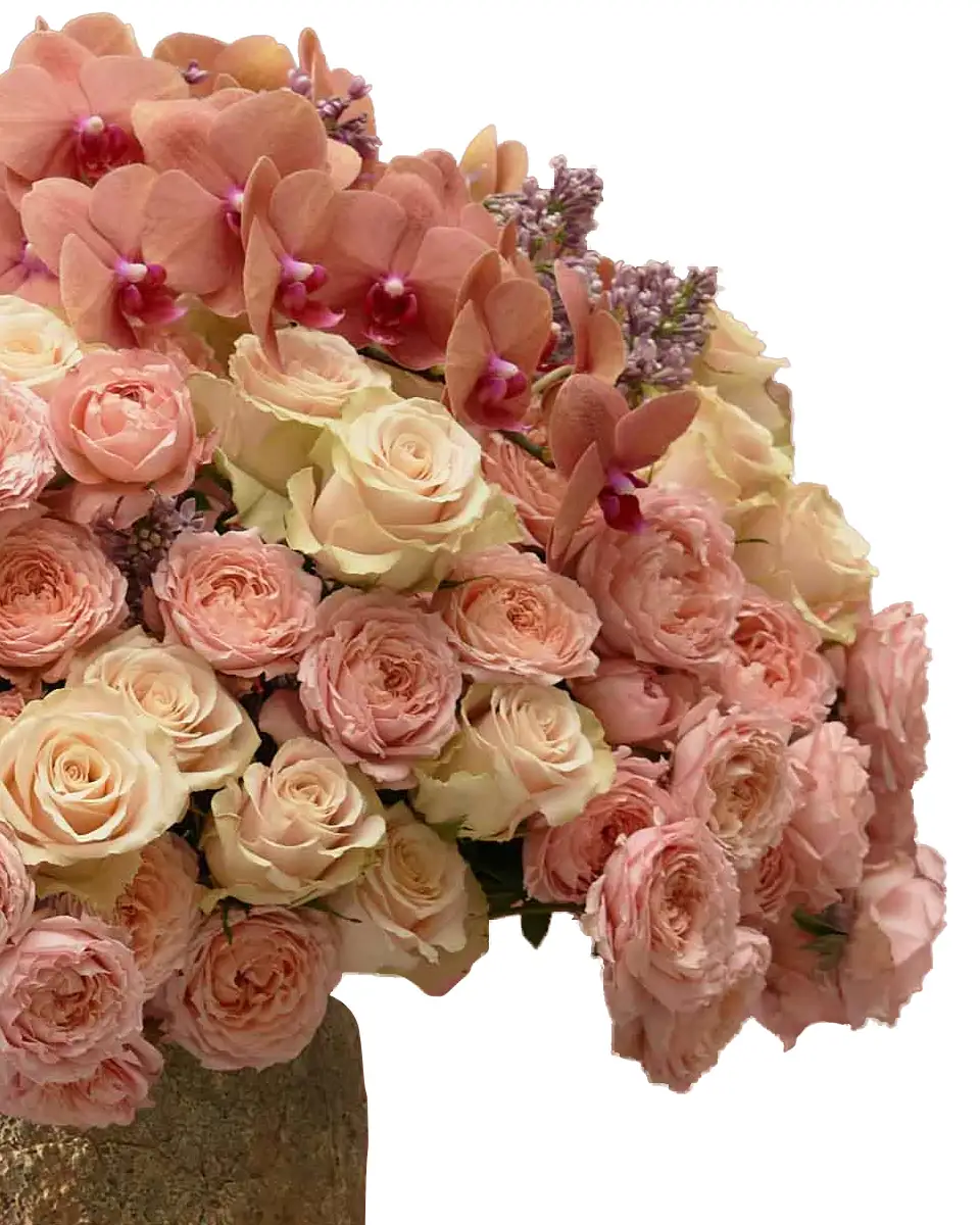 super duper detailed 2 super duper detailed 2