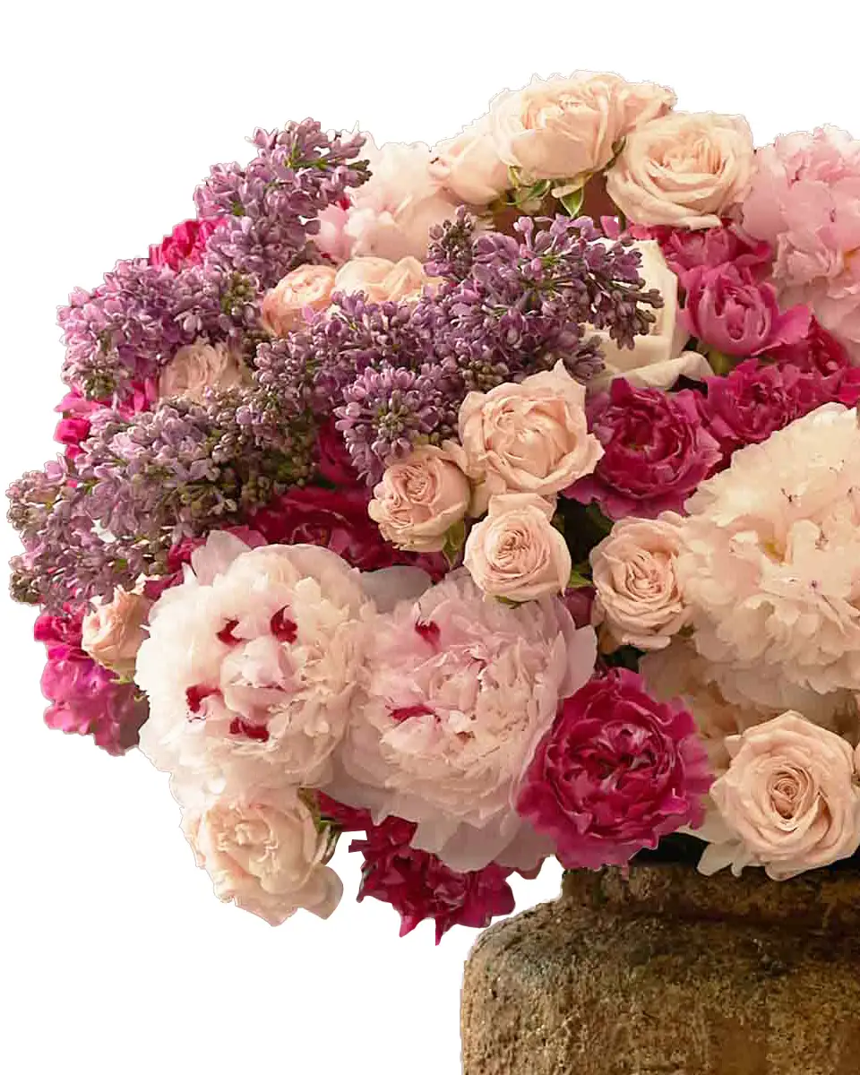 whimsical detailed whimsical detailed