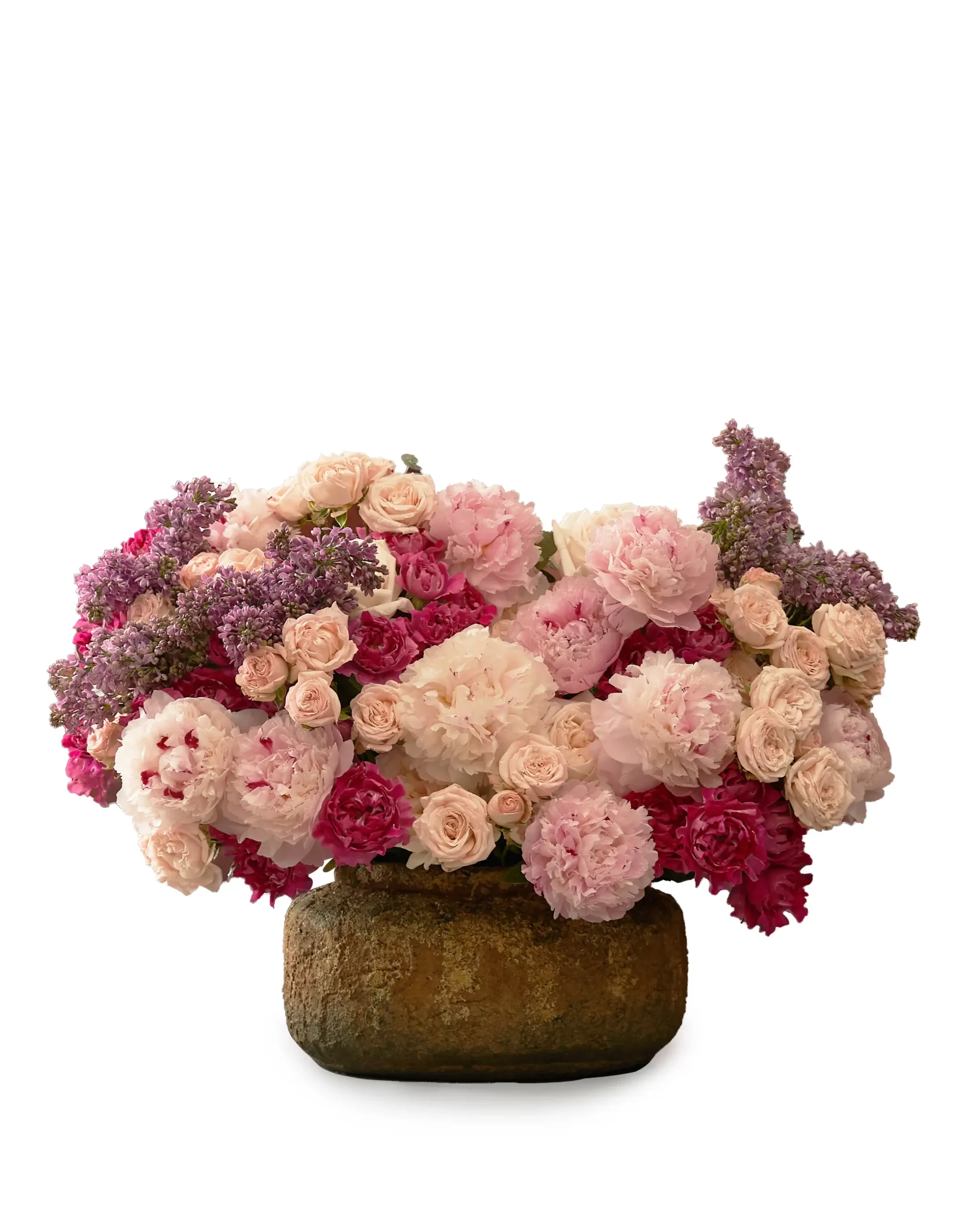 whimsical scaled 1 whimsical scaled 1