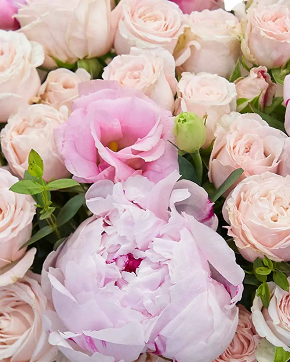 Modern Fairytale Reshoot4 Modern Fairytale Reshoot4