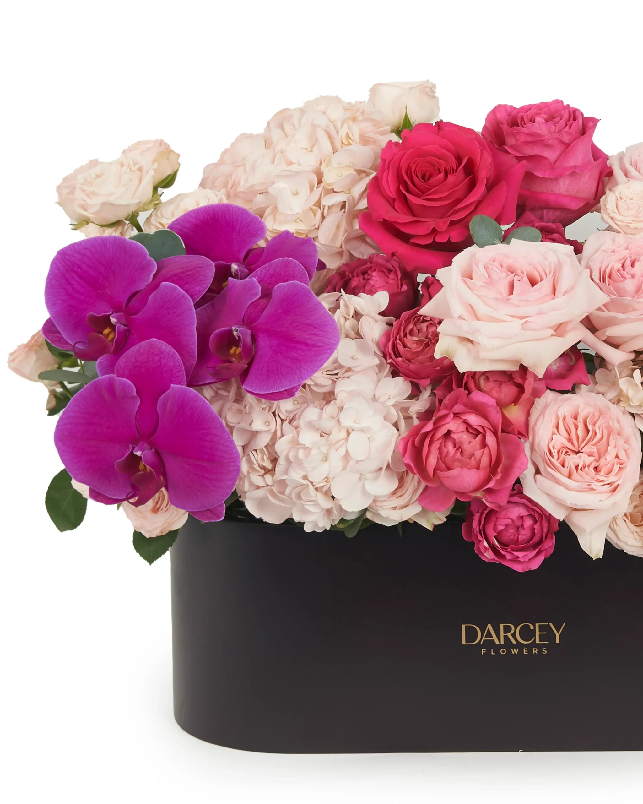 Candy Heart6 1 2024 scaled 1 Candy Heart6 1 2024 scaled 1