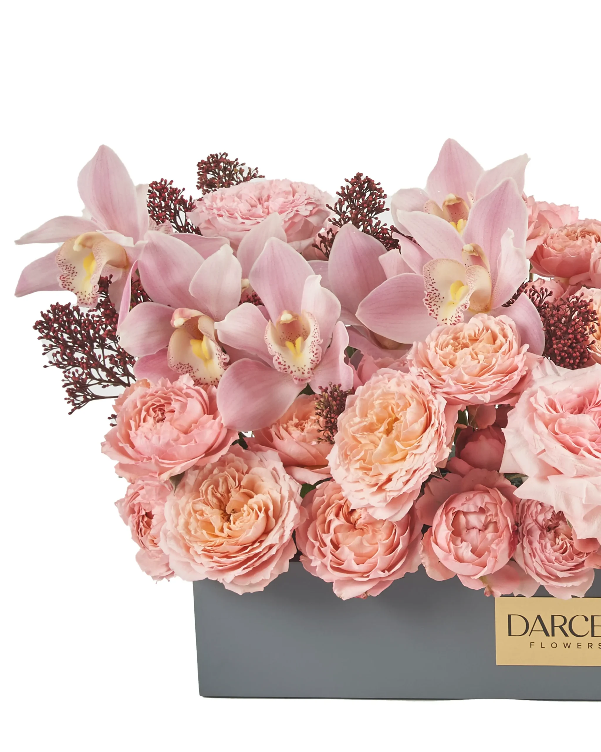 FROM THE HEART reshoot 2 1 2024 scaled FROM THE HEART reshoot 2 1 2024 scaled